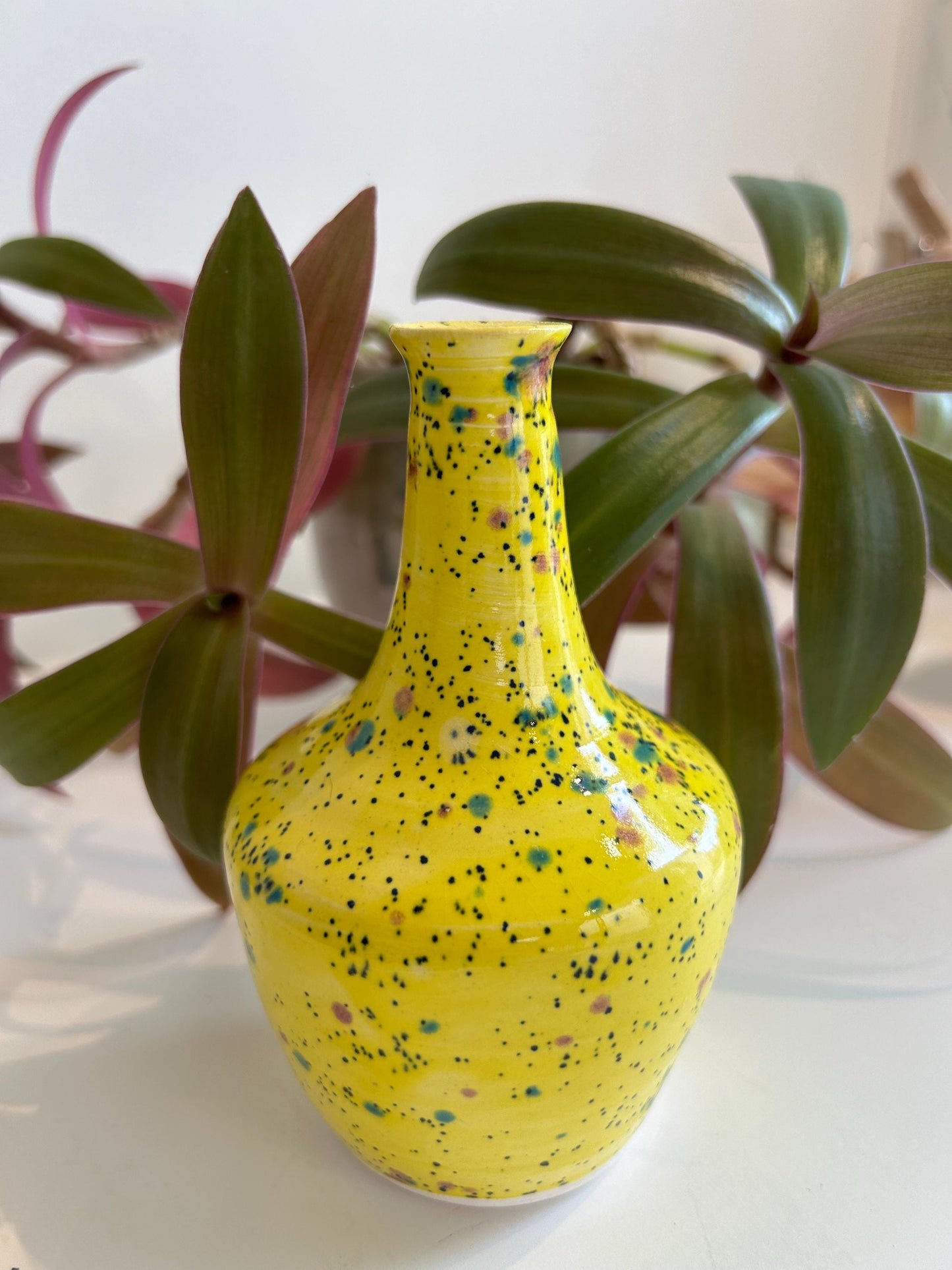 Hand thrown vase