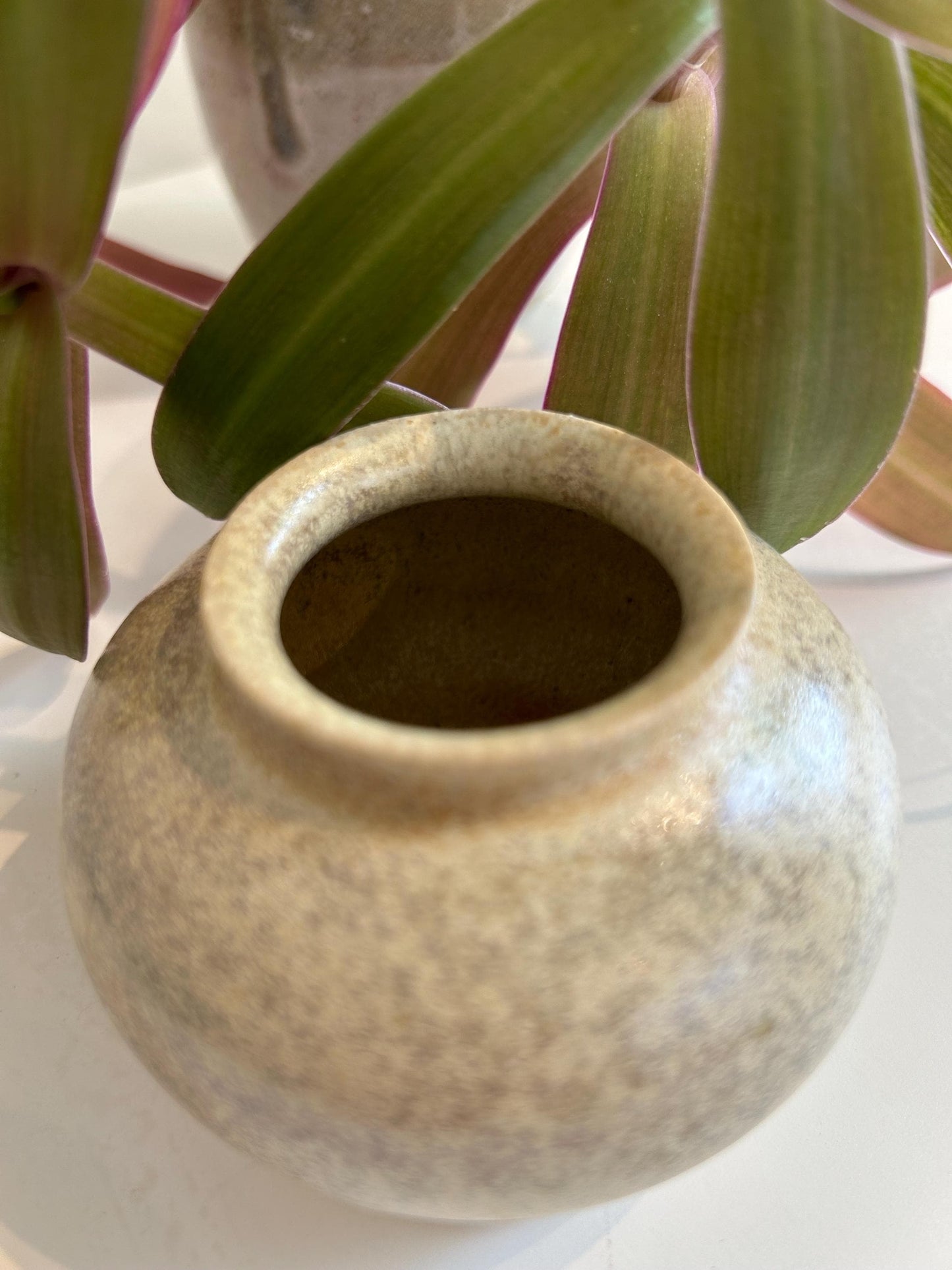 Hand thrown vase